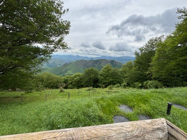 Buona fortuna nella ricerca di un posto per dormire