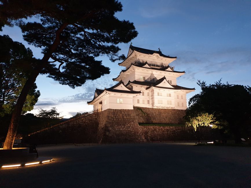 Die Burg von Odawara