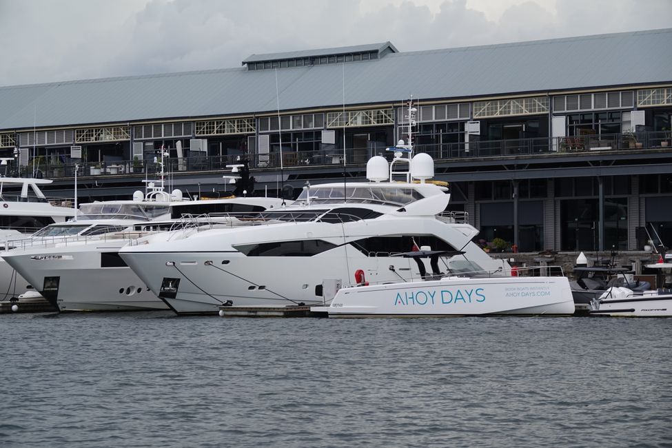 Von Paihia über Auckland nach Sydney ....
