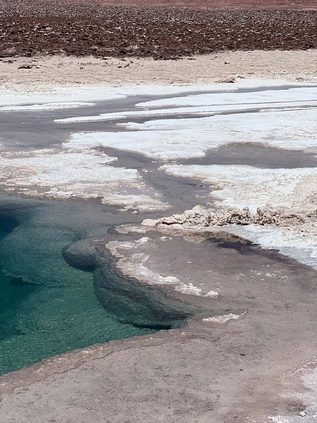 Keine Schwebstoffe, nichts … das Wasser klar bis auf den Grund