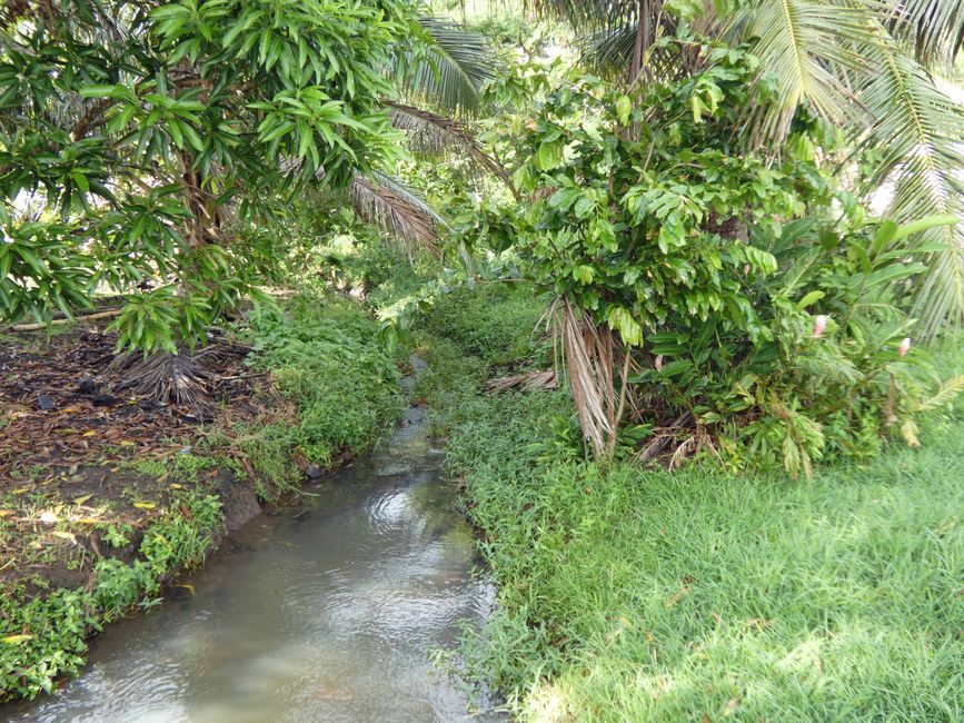 Lomaloma, Insel Vanua Balavu, Fidschi