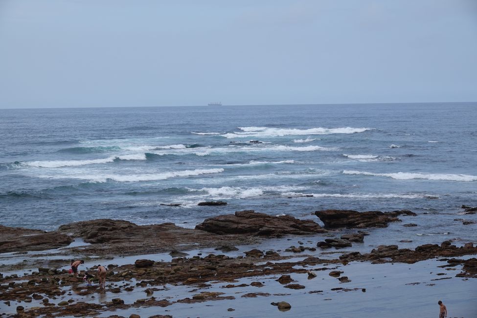In the city of Wollongong ....