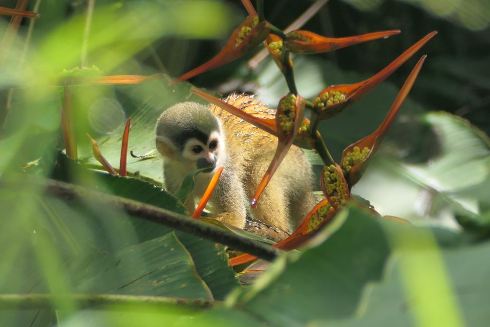 Costa Rica 2025