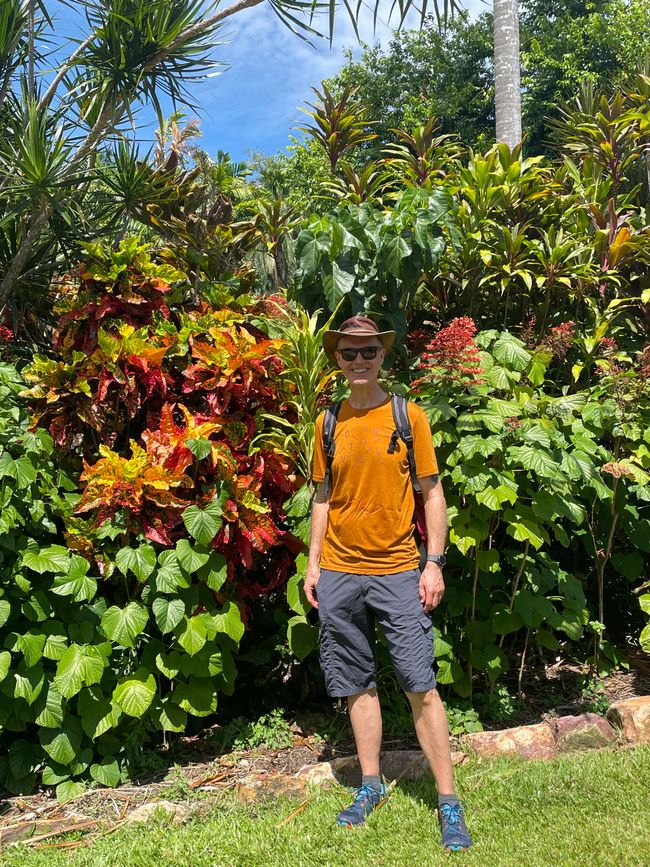 In the botanical garden