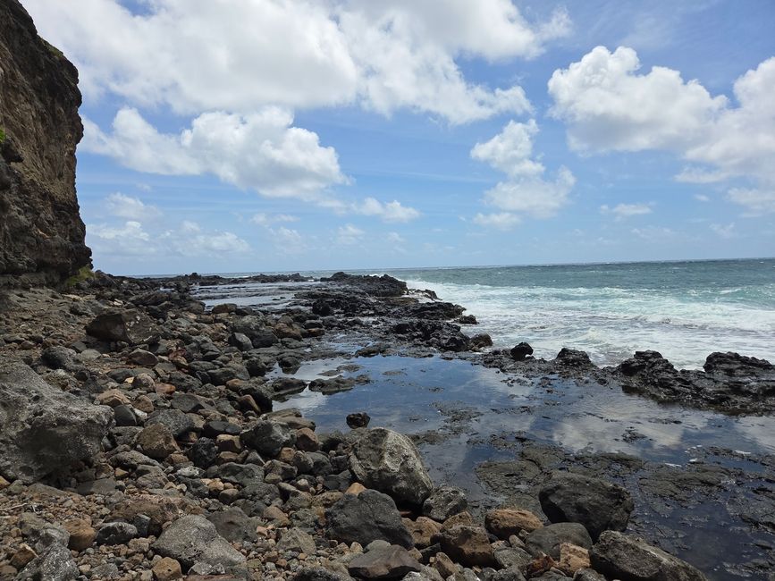 Tidepools 