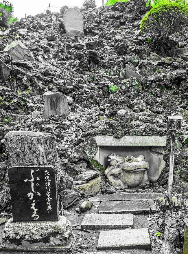 品川を見に行きましょう! 
Let's discover Shinagawa