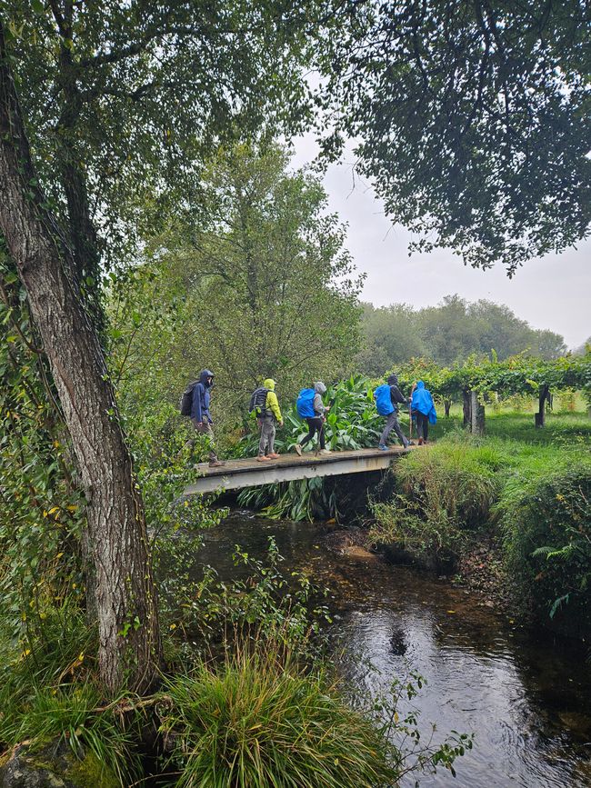 Stage 12: A Armenteira - Vilanova de Arousa