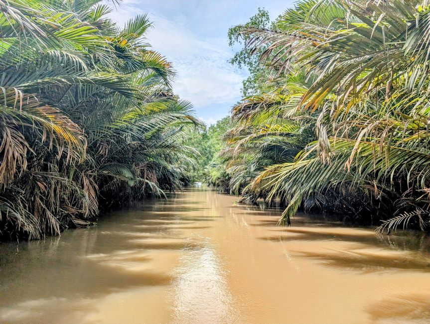 Mekong-Delta-Fragmente