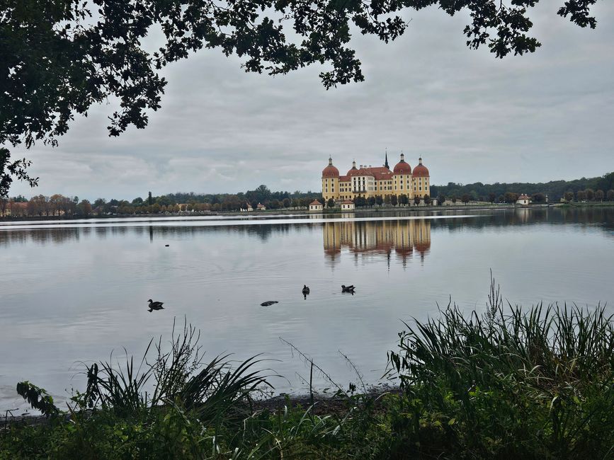 Moritzburg ● drei Haselnüsse für Aschenbrödel 