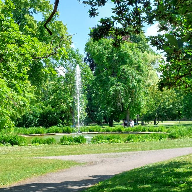 In Folkparken