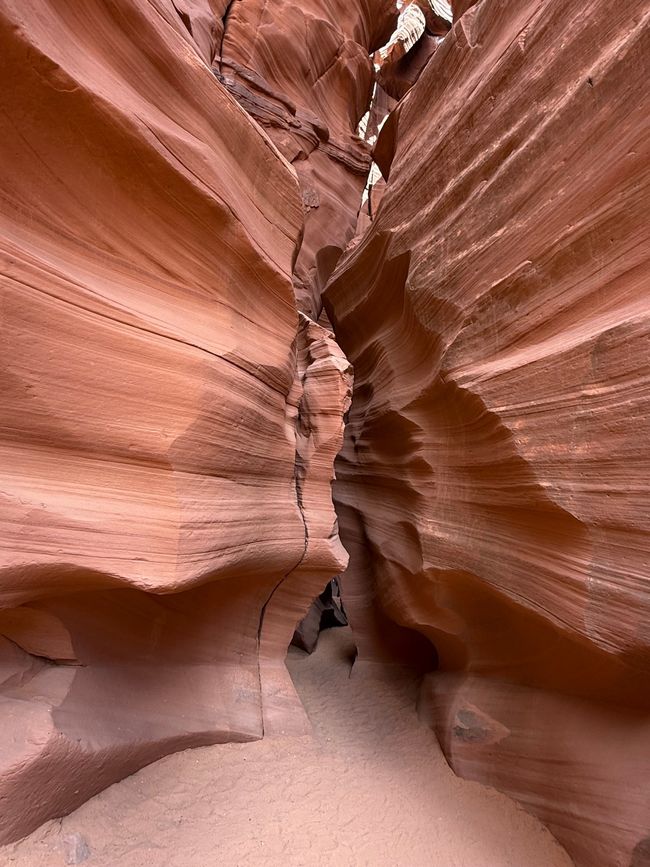 BLOG 6 : Les canyons d'Antelope et Horseshoe Bend