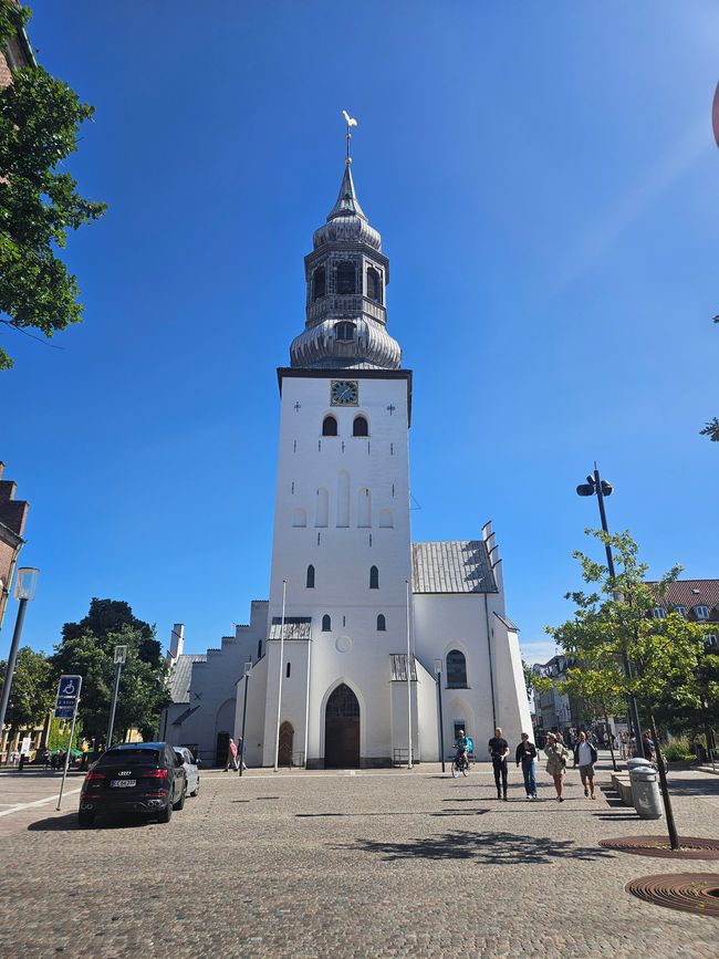 Budolfi Kirke - Dom zu Aalborg