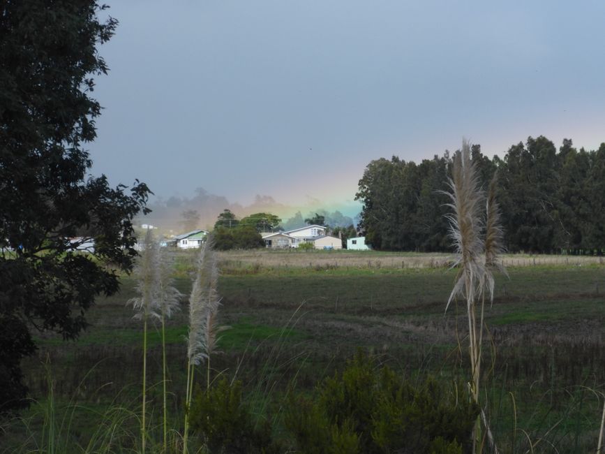 2025-04-15 Dargaville