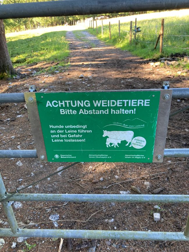 Genusswanderung zum Wertacher Hörnle 