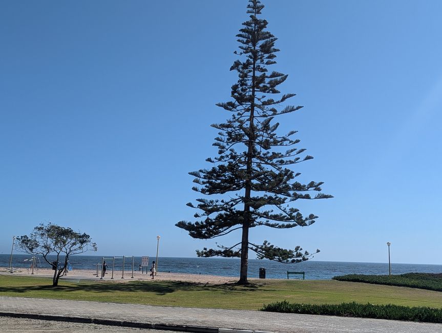 Avventure in Namibia, Windhoek e Swakopmund