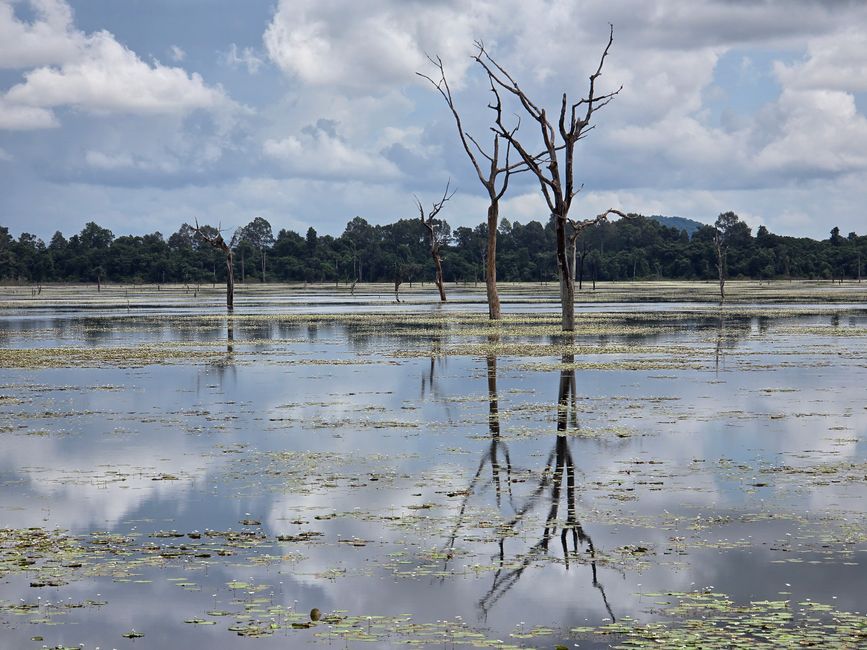 Alles kommt anders... - oder: Die Tempelanlagen von Angkor