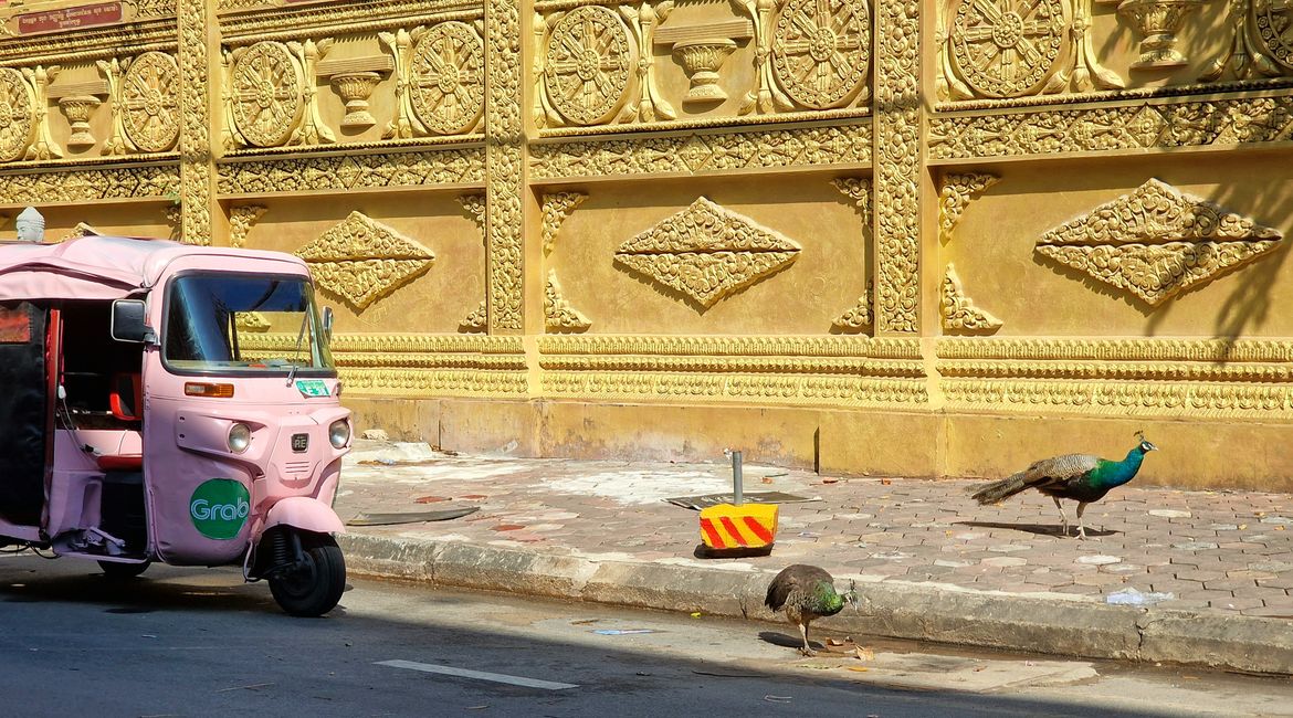Phnom Penh - die ersten Schritte