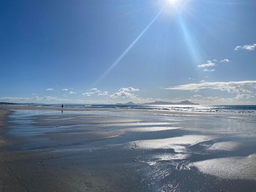 De whangarei à auckland