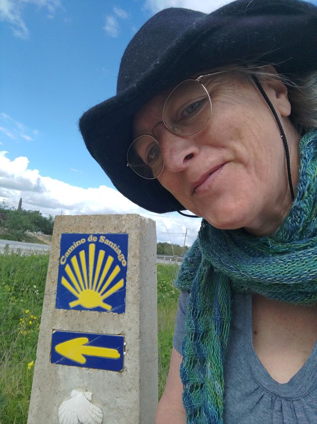 once again 'under the sign of the shell' ...