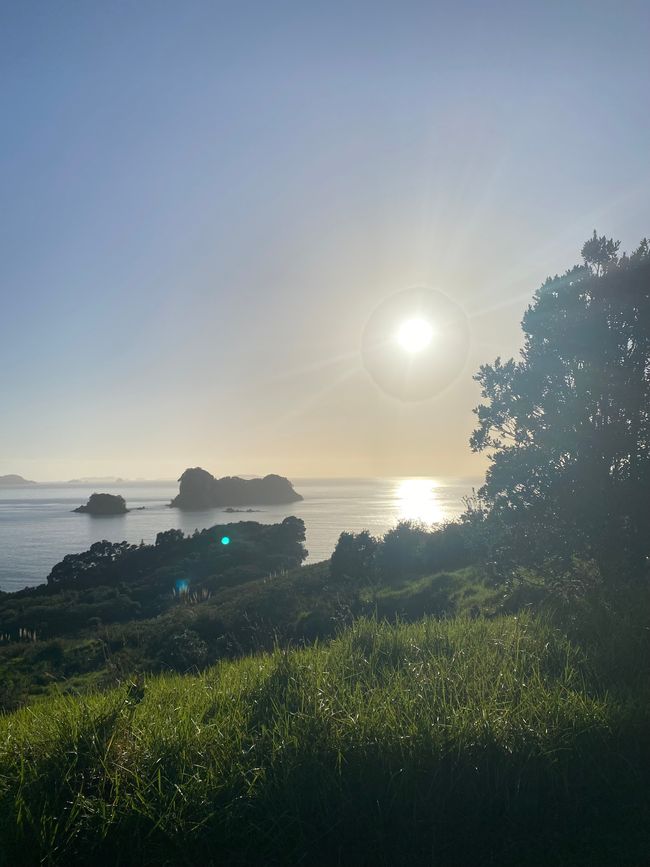 Coromandel loop