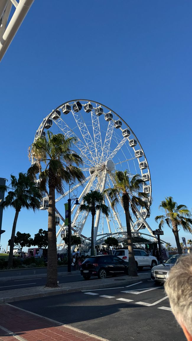 Cape Wheel 