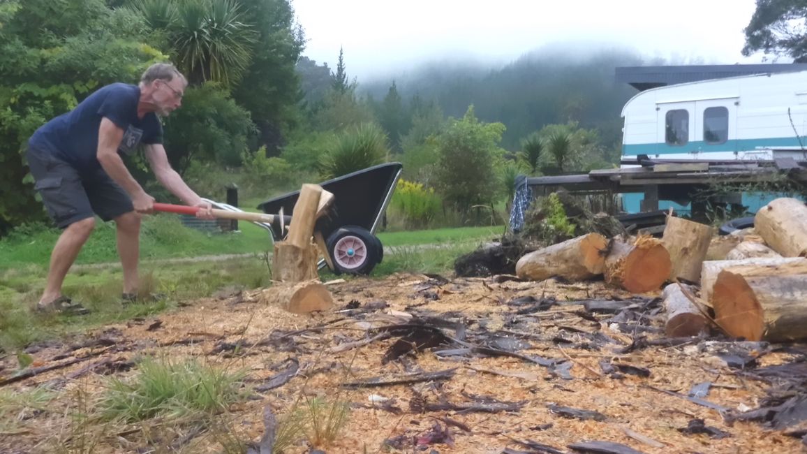 2025-03-16 WWOOF 2, Hokitika chez Joan et direction Picton