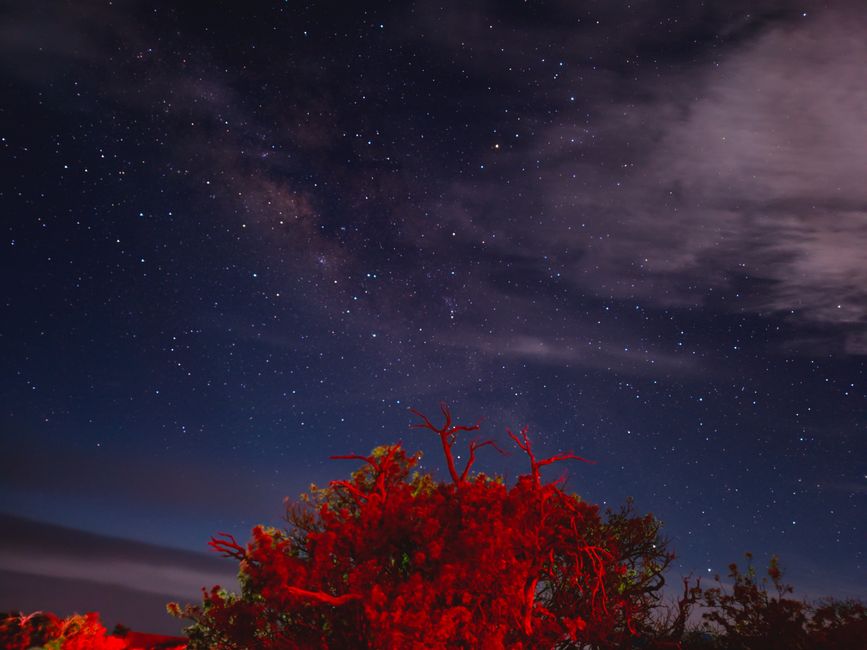 23. Grande Île - Hilo et Mauna Kea