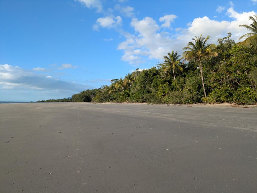 2 Nächte in Cape Tribulation