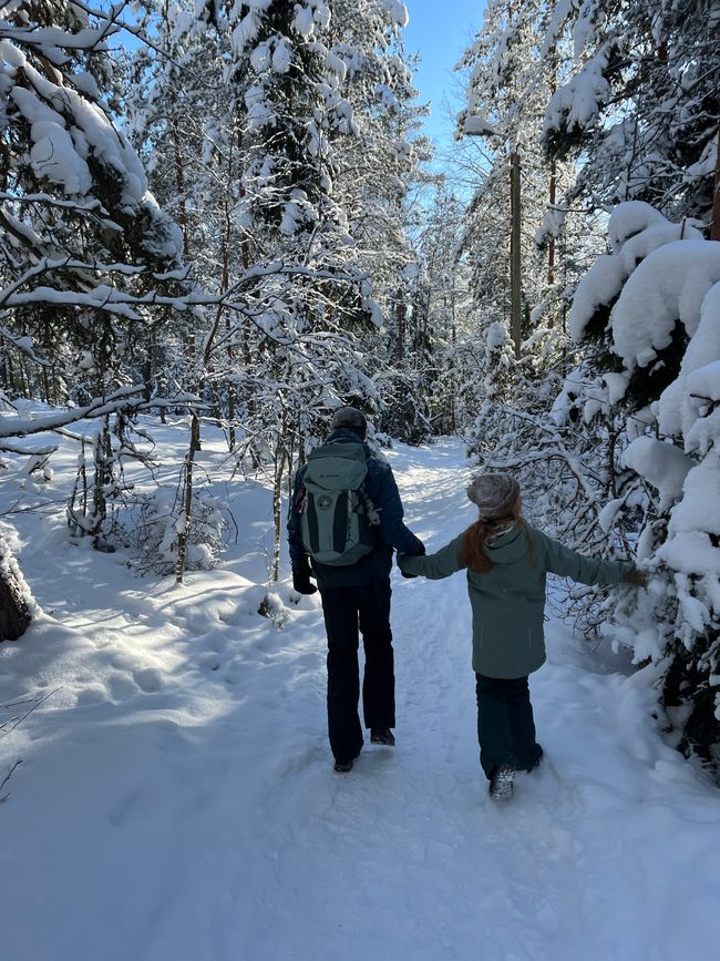 The finnish way