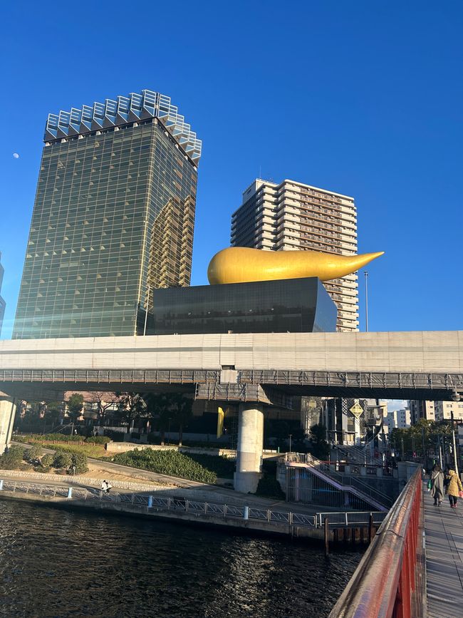 Cesta do Japón