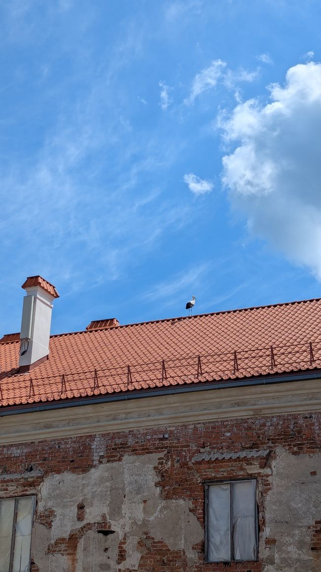 Schloss Panemunė mit Storch