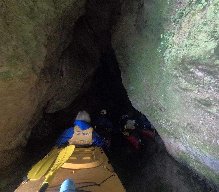 Glühwürmchen Höhle