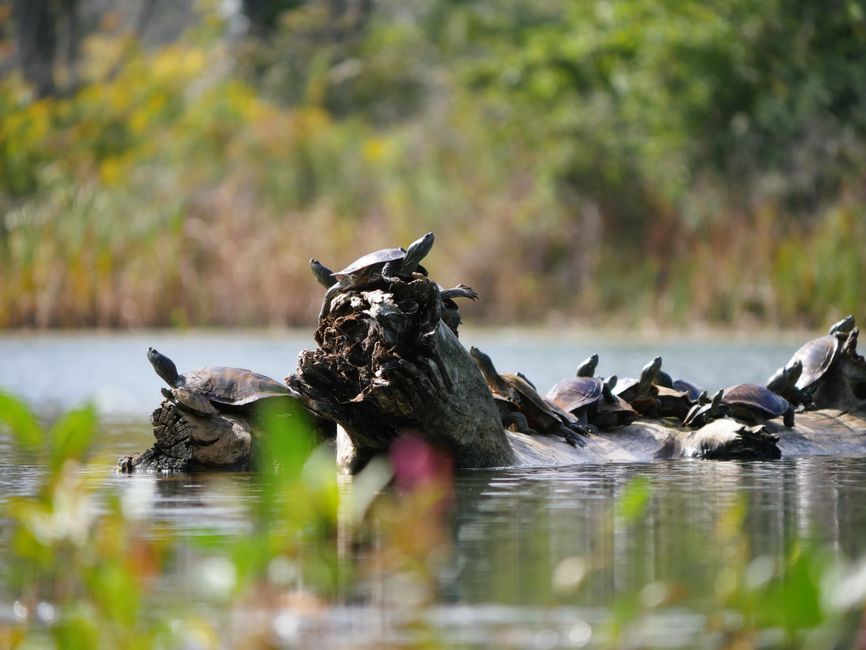 Presque Isle State Park