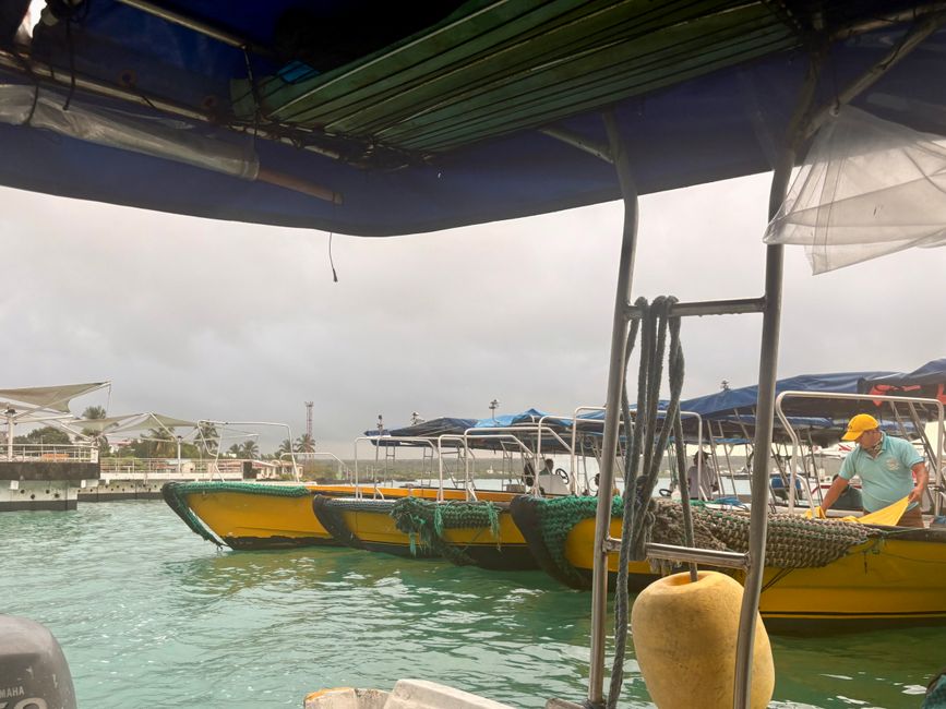 Santa Cruz (Galápagos)