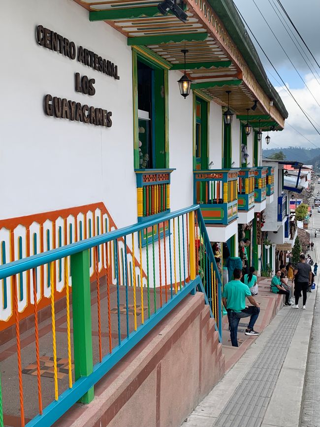 Día 4: Valle de Cocora 🌴, Salento 🏘️, Plantación de café ☕️