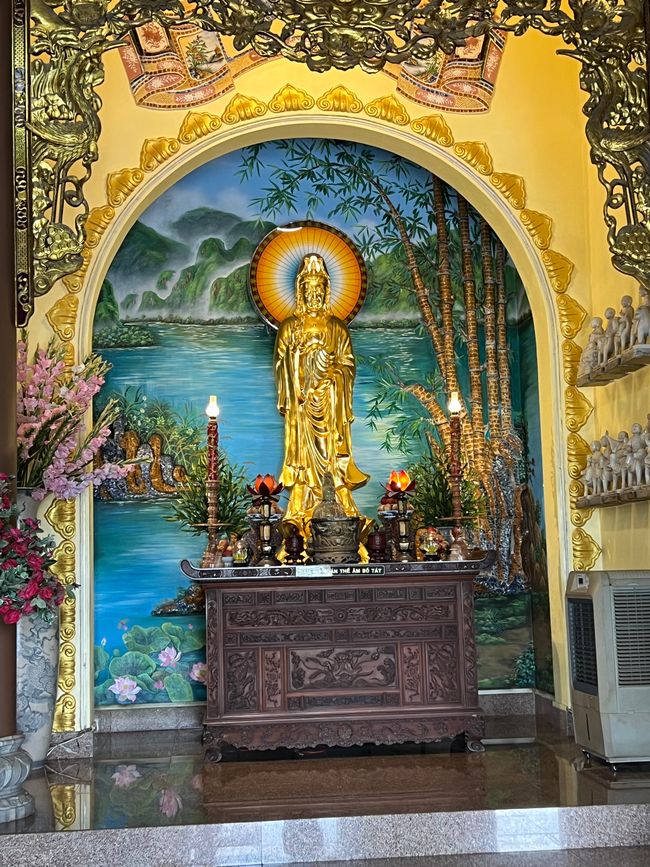 Tag 5 - Hoi An: Ein Tag mit Affen, Einhörnern und vielen Überraschungen