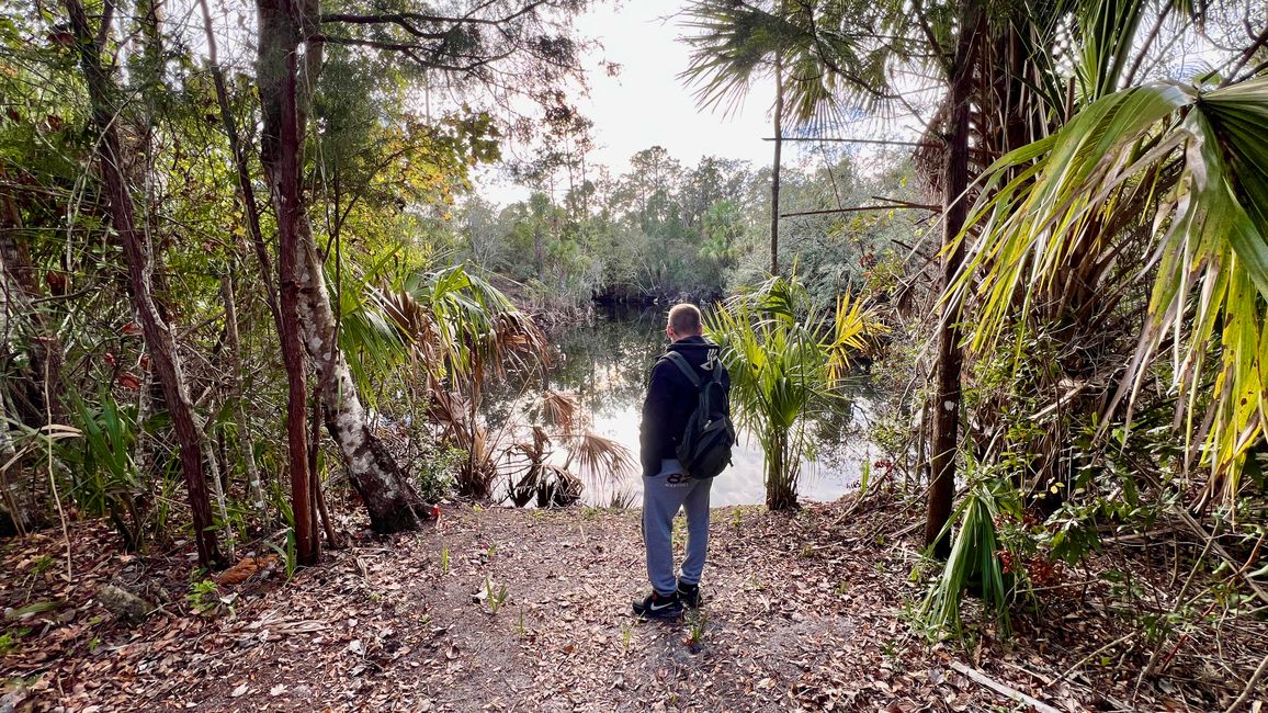 Tag 381 - Crystal River