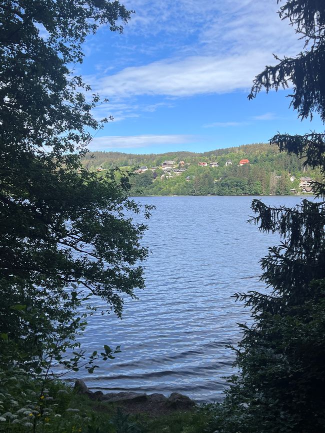 25a Wanderung um den Titisee