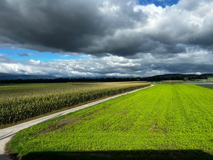 Im Seeland, dem Gemüsegarten der Schweiz