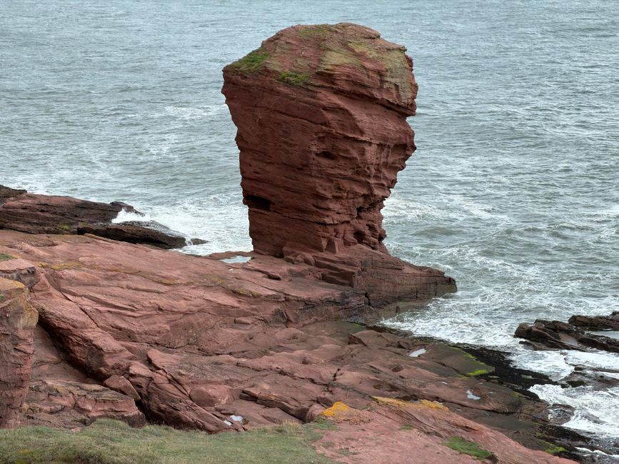 Arbroath, Smokies und Klippen