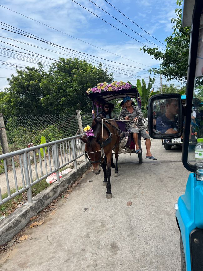 Tag 10 - Ho-Chi-Minh-City: Il Delta del Mekong e la speranza del sogno scintillante