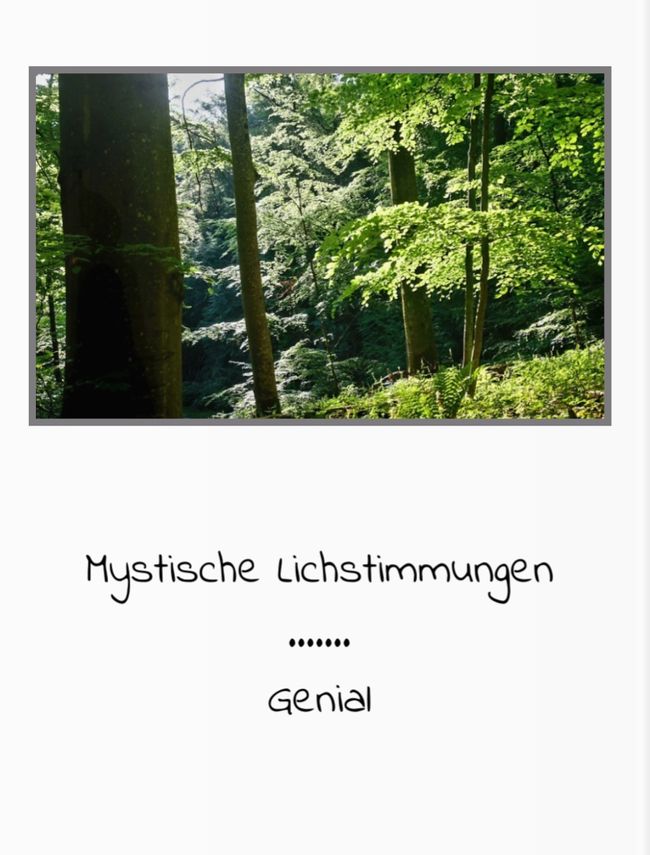 Not only fly fishing at the Kyll/Eifel