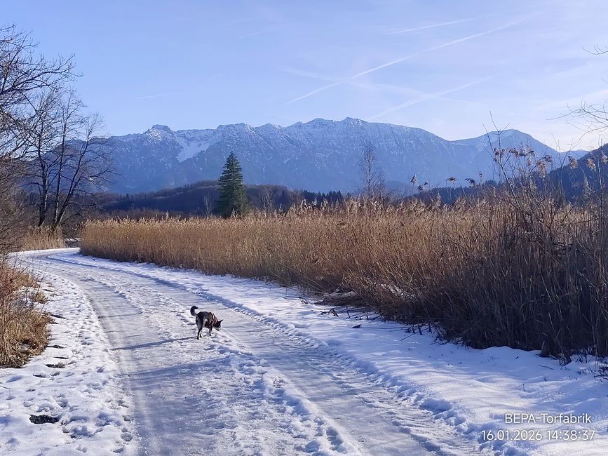 Murnau Moor y Murnau - ¡maravilloso para correr, observar y disfrutar! ¡Libre camino para mí para correr libremente!!! ¡A muy agradables 10 grados PLUS!!