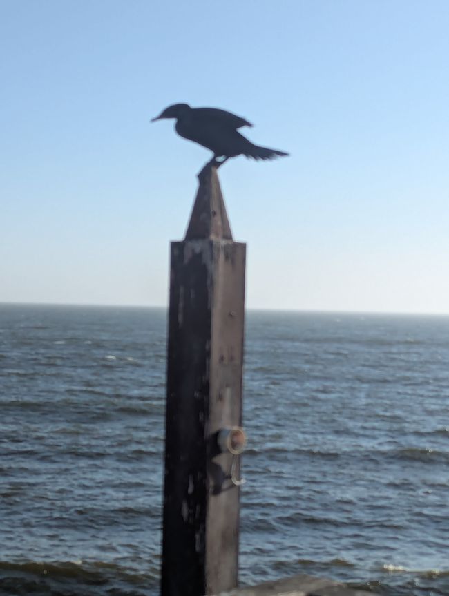Swakopmund al Molo