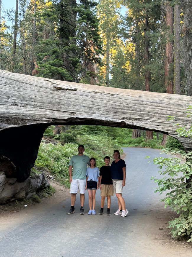 Sequoia Nationalpark