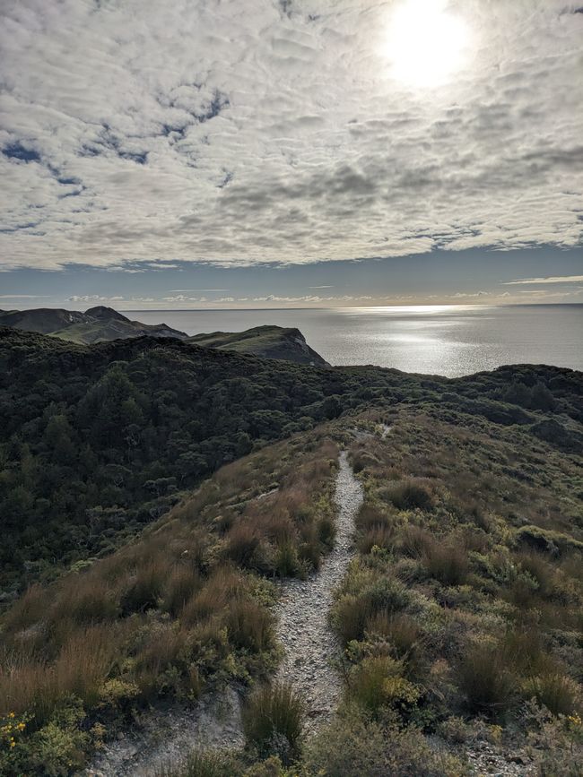 View of the Tasman sea.