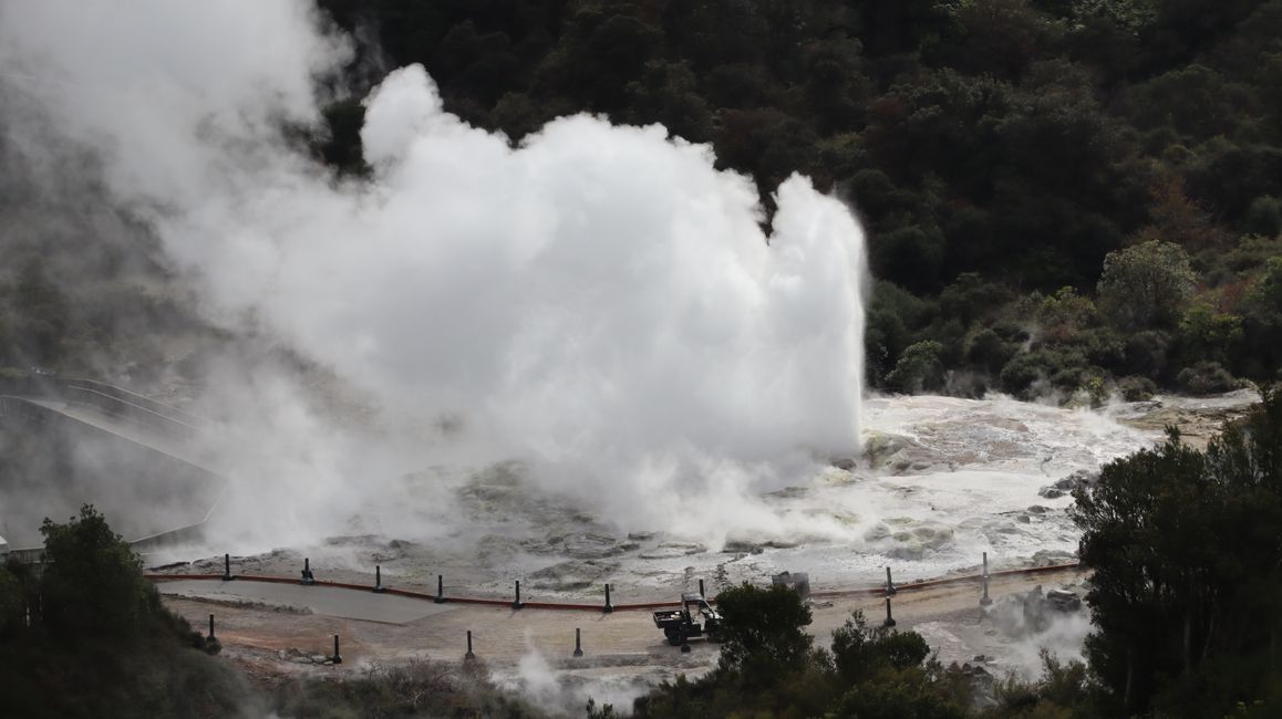 Pohutu Geysir - schon mit deutlich mehr Damp