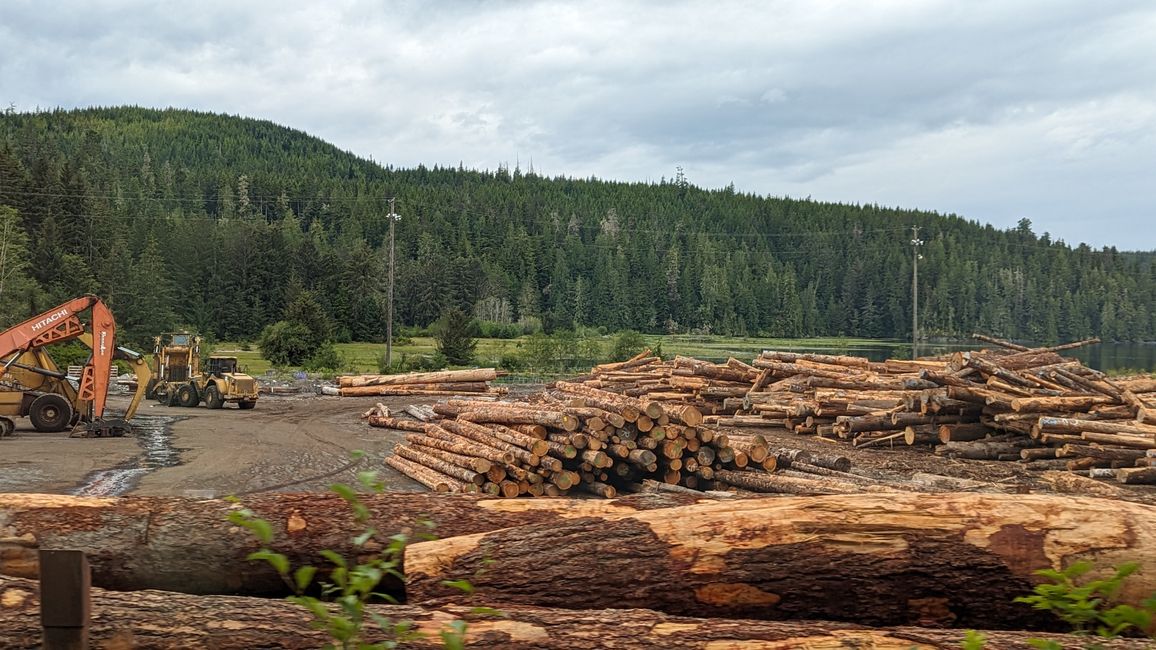 Day 11: Strathcona PP - Telegraph Cove - Alder Bay