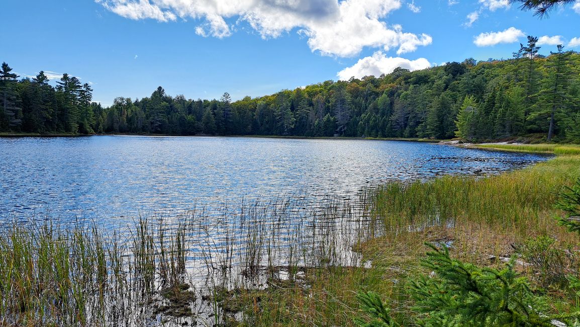 Parco Algonquin