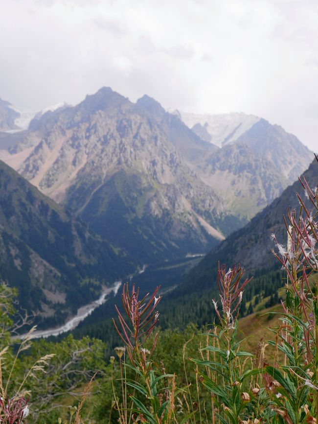 En deux heures à 3200 mètres : En route dans les montagnes d'Ile-Alatau